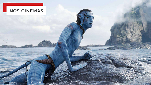 Imagem da notícia Ele já viu Avatar 2 cem vezes no cinema… e James Cameron o recompensa com esta bela surpresa