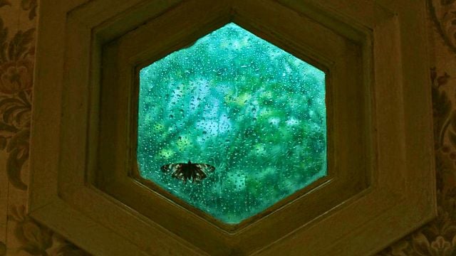 Imagem da notícia Para ver hoje no Prime Video: Filme de suspense assustador com um dos melhores criminosos de 2024