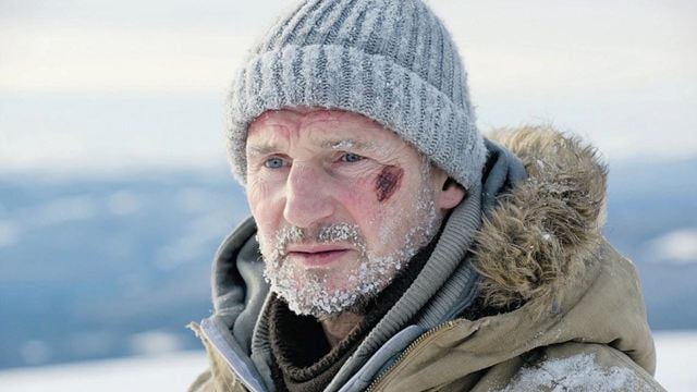 O filme mais subestimado de Liam Neeson é um dos mais especiais para o ator: “Tive que fazer para canalizar minha dor”