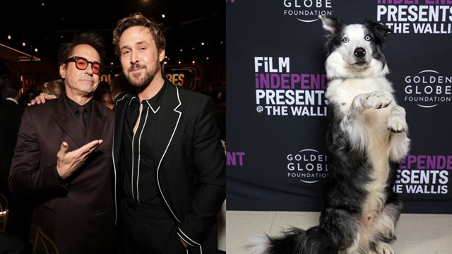 Nem Robert Downey Jr., nem Ryan Gosling: Hollywood decidiu que quem merece o Oscar de melhor ator coadjuvante é um cachorro