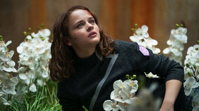 Imagem da notícia Nem Feios, nem A Barraca do Beijo: Esse é o melhor filme de Joey King segundo os leitores do AdoroCinema