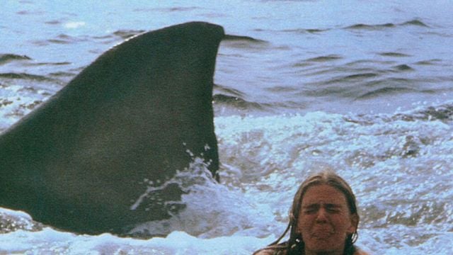 Imagem da notícia Steven Spielberg queria fazer Tubarão 2, mas os produtores rejeitaram sua ideia: O Resgate do Soldado Ryan com tubarões