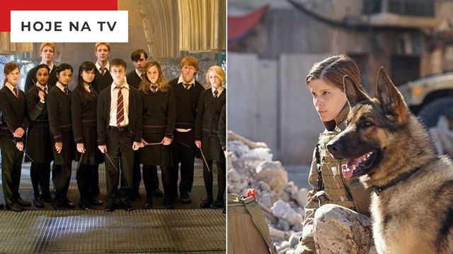 Megan Leavey na Sessão da Tarde (12/12): Filme da Globo compartilha coincidência com Harry Potter e Marvel