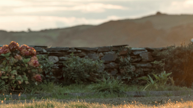 Imagem da notícia Hoje na Netflix: Uma série policial incomparavelmente excêntrica que permanece incompreensível por sete episódios