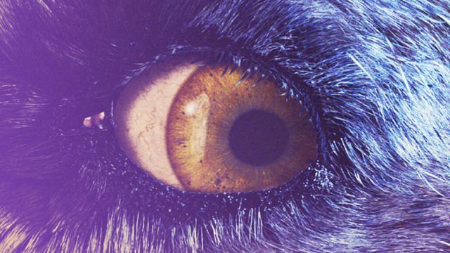 Imagem da notícia Para ver hoje à noite: O início da série de fantasia provavelmente mais popular do cinema, que arrecadou quase 10 bilhões de dólares