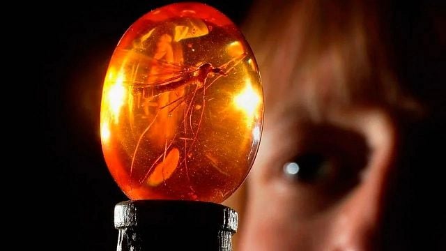 É possível um mosquito guardar DNA de dinossauros? A ciência tem uma resposta para o que acontece em Jurassic Park