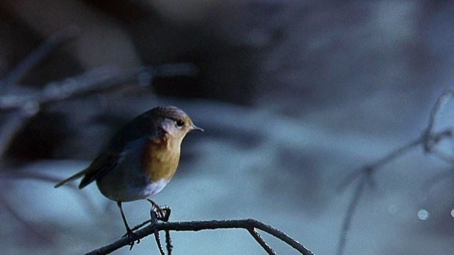 Imagem da notícia 25 anos depois, a cena de abertura deste filme épico ainda detém um poder raro
