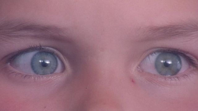 Imagem da notícia Há 30 anos estreava um dos melhores filmes de ficção científica e a maior obra-prima do cinema de viagem no tempo