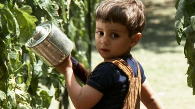 Imagem da notícia "É um dos filmes com a melhor direção de todos os tempos": Para o criador de Yellowstone, este filme é um clássico atemporal