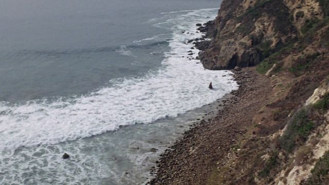 Imagem da notícia Este filme tem um dos finais mais arrepiantes da história da ficção científica