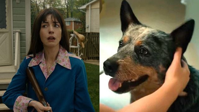 Imagem da notícia O Fim da Rua: O cachorro sobrevive no final da ficção científica de Anne Hathaway?