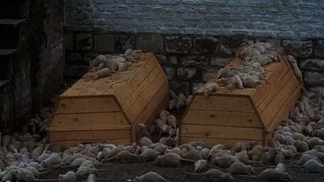 Imagem da notícia "Tudo o que esse cara faz é incrível": O filme de terror de 2025 que impressionou Martin Scorsese