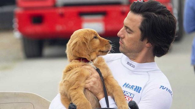 Imagem da notícia Sessão da Tarde hoje (29/09): Filme Meu Amigo Enzo faz homenagem poderosa a um dos maiores ídolos brasileiros de todos os tempos