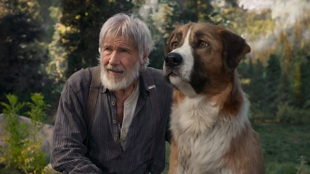 Imagem da notícia Sessão da Tarde hoje (31/03): O Chamado da Floresta, filme com Harrison Ford, é baseado em uma história real?