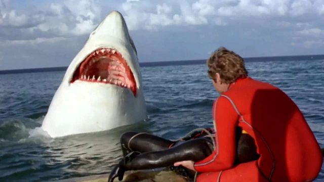Imagem da notícia Lançado há 45 anos, este filme tinha como objetivo rivalizar com Tubarão – e falhou brilhantemente