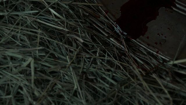 Imagem da notícia Tem apenas 1 hora e meia de duração, está na Netflix e é o filme de terror que você precisa ver antes de Nosferatu