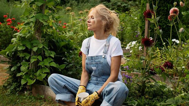 Imagem da notícia Pamela Anderson abandonou Hollywood para retornar à casa centenária onde cresceu: "Este é o melhor momento da minha vida"