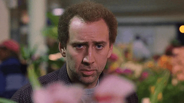 Imagem da notícia Assista hoje no streaming: Esta dica privilegiada é realmente o melhor filme de Nicolas Cage!