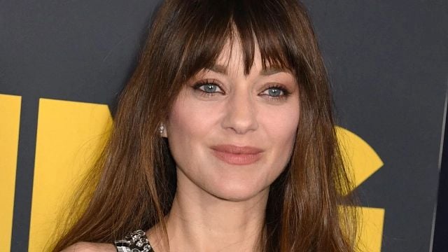 Imagem da notícia "Não consigo mais assistir a esses filmes": Não veremos Marion Cotillard neste gênero cinematográfico tão cedo!