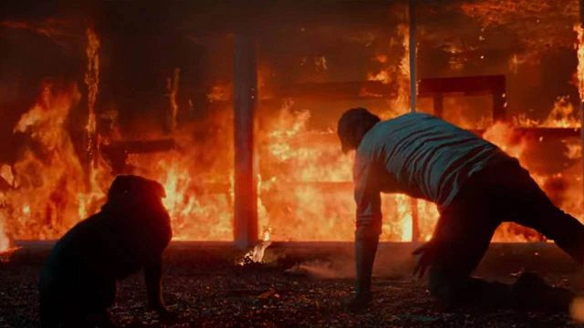 Imagem da notícia Ninguém quis dar um centavo, mas esta é uma das sagas de ação de maior bilheteria: Seus quatro filmes somam mais de um bilhão de dólares