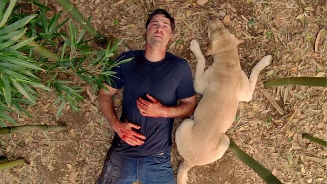 Imagem da notícia O final original de Lost não é o que vimos, mas um que não foi produzido por motivos financeiros: "Não podemos deixar a emissora falir"