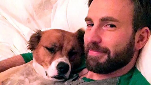 Imagem da notícia O vídeo secreto que mudou a vida de Chris Evans: Ele se apaixonou por seu cachorro Dodger em um abrigo de verdade