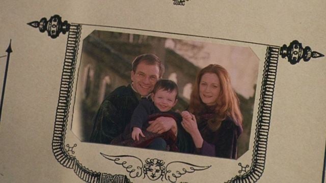 Todo mundo conhece a trágica história dos pais de Harry Potter, mas o que exatamente aconteceu com seus avós?