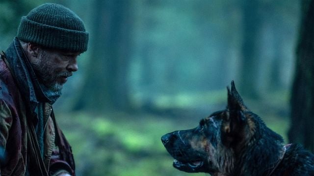 Imagem da notícia “Nunca trabalhe com cães e crianças”: Diretor de Coração Selvagem revela como ele e Brad Pitt gravaram as cenas com o cachorro protagonista