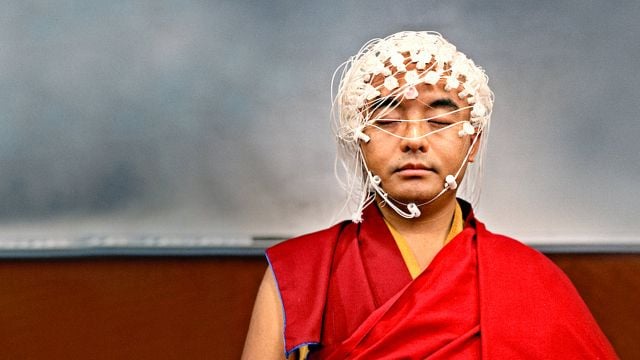 Imagem da notícia Disponível na Netflix: Esta é a melhor série para acalmar a ansiedade, segundo a psicologia
