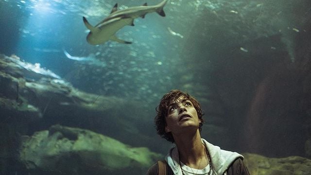 Imagem da notícia Esqueça Ataque Brutal! Próxima promessa da Netflix é a sequência do suspense com tubarões que se tornou um dos maiores fenômenos da plataforma