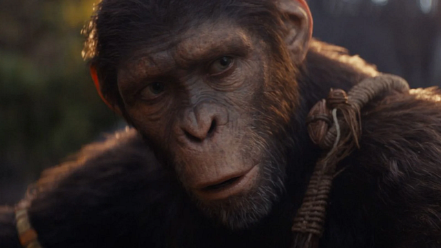 Imagem da notícia Planeta dos Macacos - O Reinado: Resumimos o final do filme anterior da franquia para você!