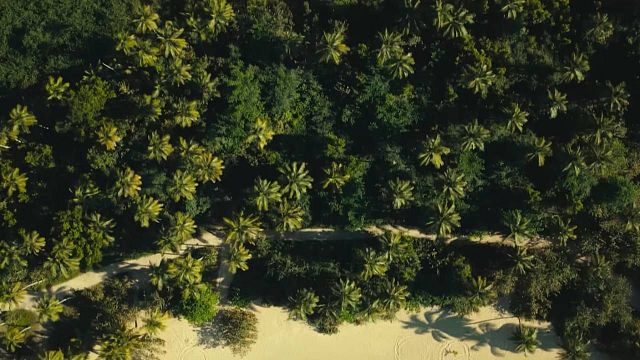 Imagem da notícia Um sucesso da Netflix com apenas 6 episódios: Esta minissérie você pode começar e terminar em uma única tarde