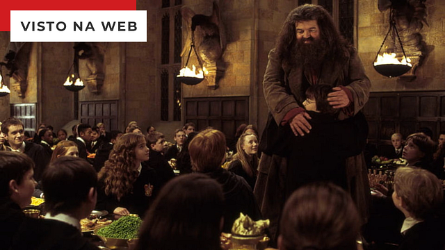 Imagem da notícia Harry Potter: 10 vezes em que Hagrid foi um paizão para o bruxinho