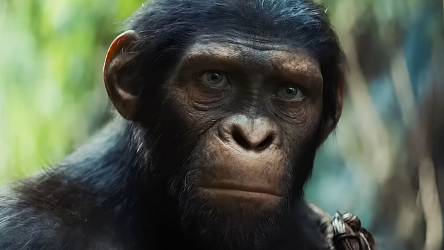 Imagem da notícia O final surpreendente de Planeta dos Macacos - O Reinado, explicado por seu diretor: “Pode incomodar algumas pessoas”
