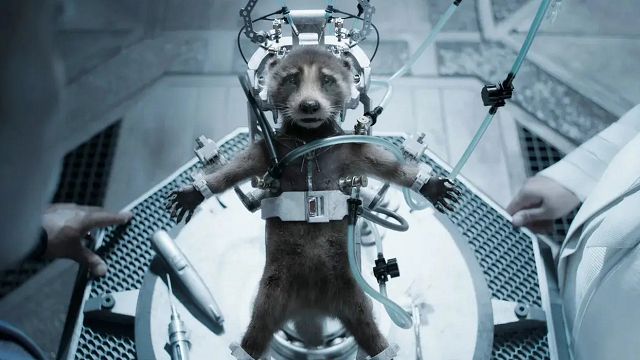 Imagem da notícia Guardiões da Galáxia 3: Teoria explica por que Rocket era o único capaz de inventar coisas - e pode ter fazer virar fã de Radiohead