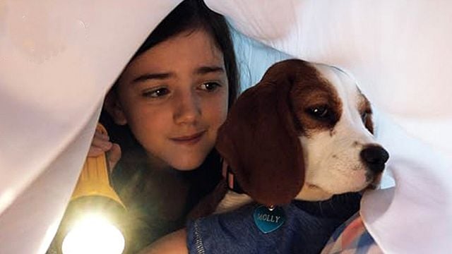 Imagem da notícia Sessão da Tarde hoje (07/04): Juntos Para Sempre traz bela homenagem a um dos melhores filmes de animação de todos os tempos