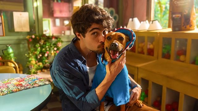 Imagem da notícia Caramelo: O cachorro morre no fim do filme da Netflix?