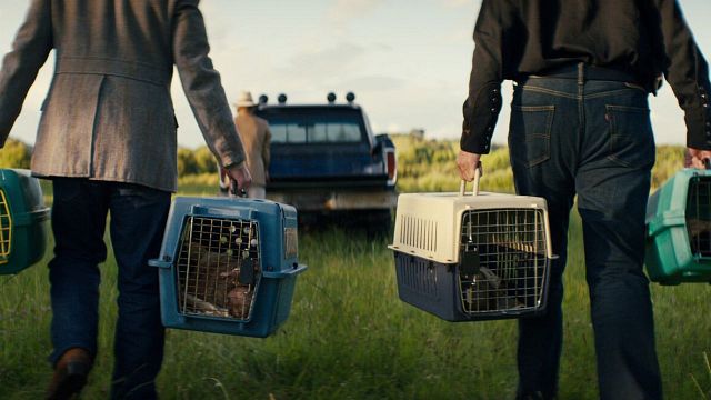 Imagem da notícia Netflix acaba de lançar o final de uma de suas melhores séries de ficção científica: Agora você pode assistir sem medo que esta fantasia pós-apocalíptica seja cancelada