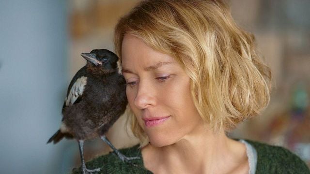 Imagem da notícia Sessão da Tarde: Qual filme vai passar na Globo hoje, quarta-feira (22/10)? Drama tem astro de The Walking Dead no elenco