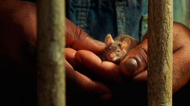 Imagem da notícia O final deste magnífico filme de fantasia destruiu a todos nós, mas a explicação fará você sorrir mais de 20 anos depois