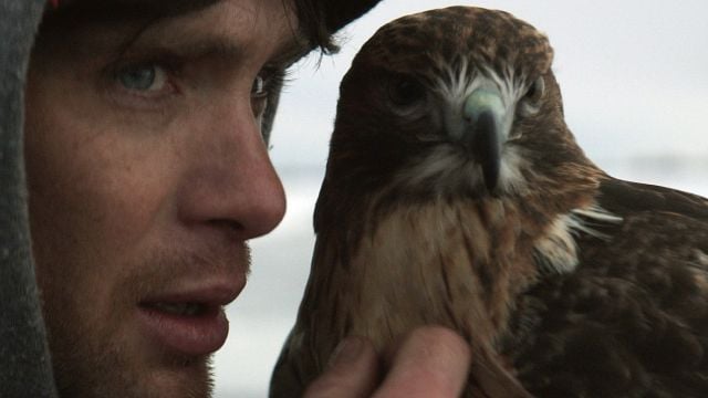 Imagem da notícia Para ver esta noite no streaming: Este filme de Cillian Murphy falhou impiedosamente com o público
