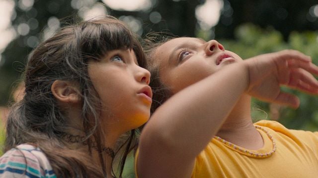 Imagem da notícia A Natureza das Coisas Invisíveis: Este é o filme com protagonistas mirins que derreteu corações no Festival de Gramado (Entrevista)