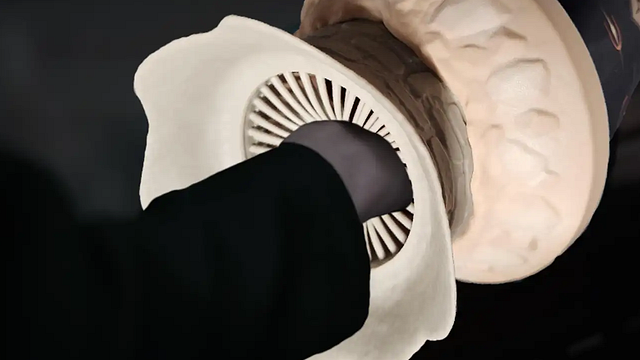 Imagem da notícia “Design impressionante”: É assim que Denis Villeneuve define o balde de pipoca duvidoso de Duna: Parte 2