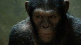 Sequência de Planeta dos Macacos - A Origem será lançada em 2014