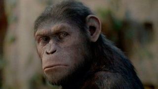 Diretor de Planeta dos Macacos - A Origem pode desistir de continuação