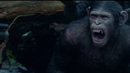 Imagem da notícia Novo vídeo de Planeta dos Macacos: O Confronto explica a origem da nova geração de primatas