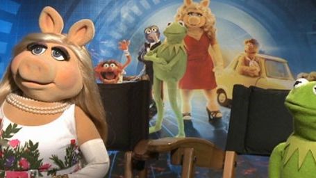 Imagem da notícia AdoroHollywood: Kermit e Miss Piggy falam sobre Muppets 2 - Procurados e Amados