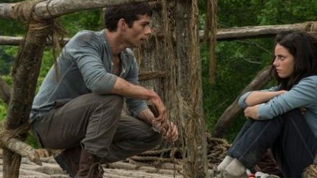 Imagem da notícia Comic-Con 2014: Sequência de The Maze Runner - Correr ou Morrer pode ser rodada ainda neste ano