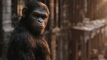 Imagem da notícia Concurso de Críticas: Conheça o autor do melhor texto sobre Planeta dos Macacos: O Confronto