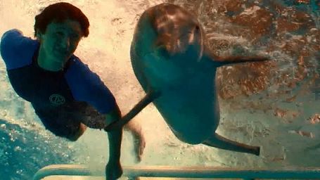Imagem da notícia Exclusivo: Conheça a missão de Winter, o Golfinho 2 e descubra como o filme ajuda tartarugas e golfinhos